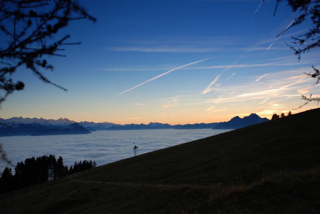 Kraeuterhotel Edelweiss Rigi Kaltbad Exterior foto
